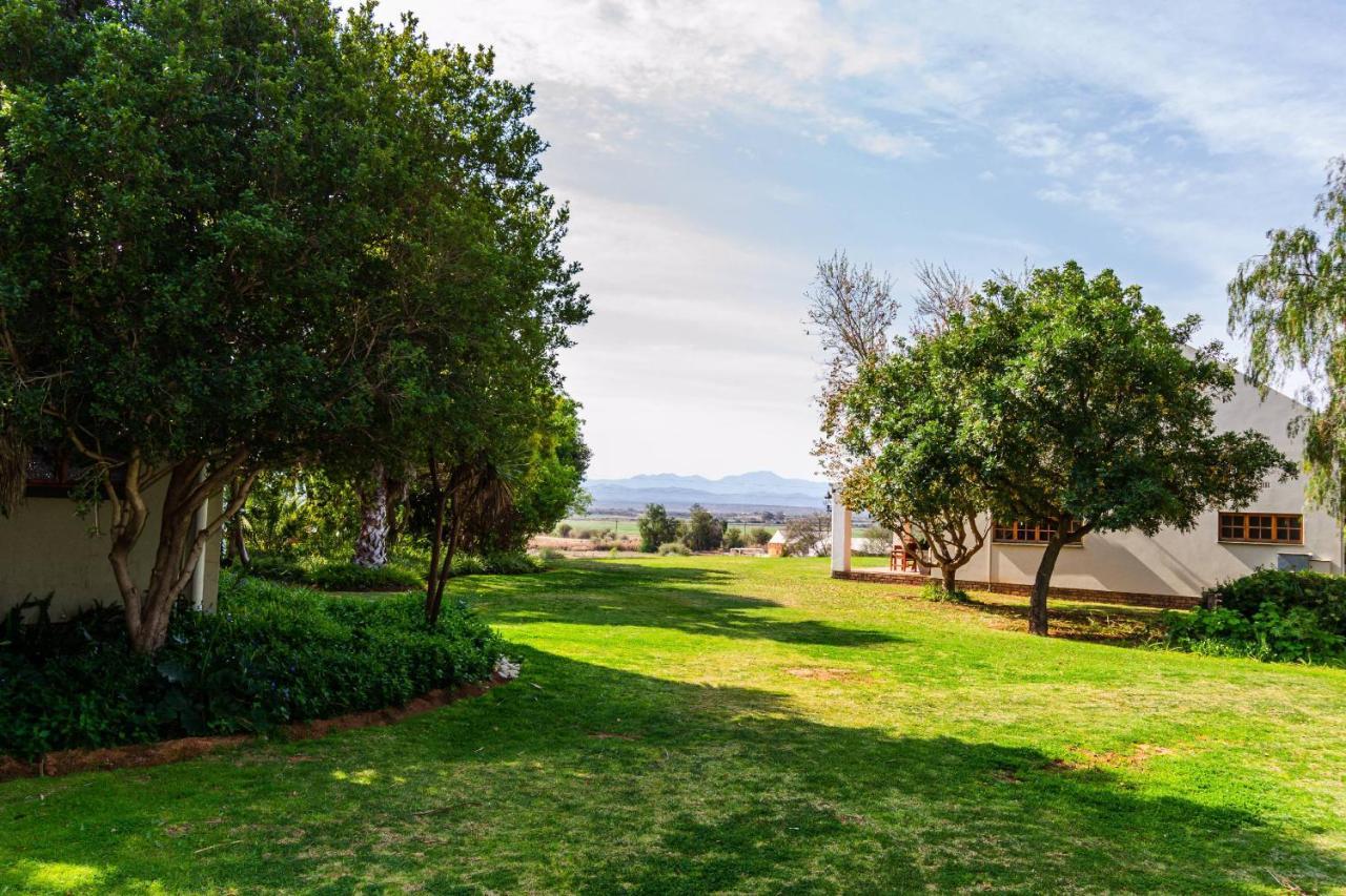 Mooiplaas Guesthouse Oudtshoorn Εξωτερικό φωτογραφία