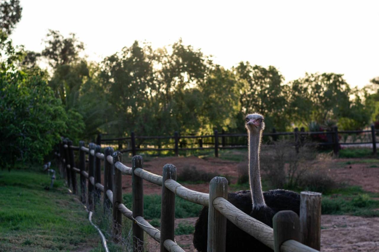 Mooiplaas Guesthouse Oudtshoorn Εξωτερικό φωτογραφία